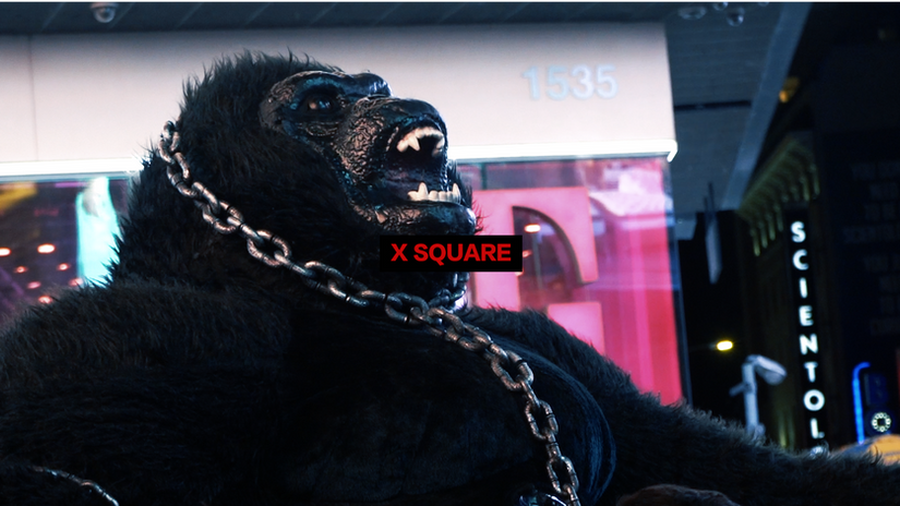 X SQUARE